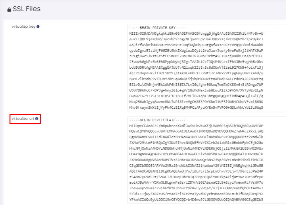 Virtualizor Main Cert Paste
