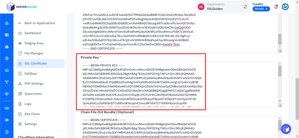 ServerAvatar Private Key paste